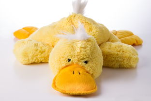 产后满月了还有恶露鲜红色正常吗